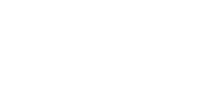 仕出し・おもてなし弁当